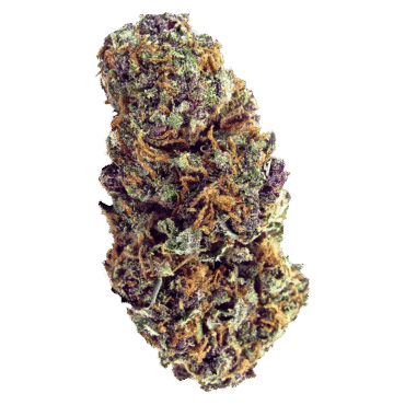 NpVfX1KVSTy0SYoZ112D_ForbiddenFruit