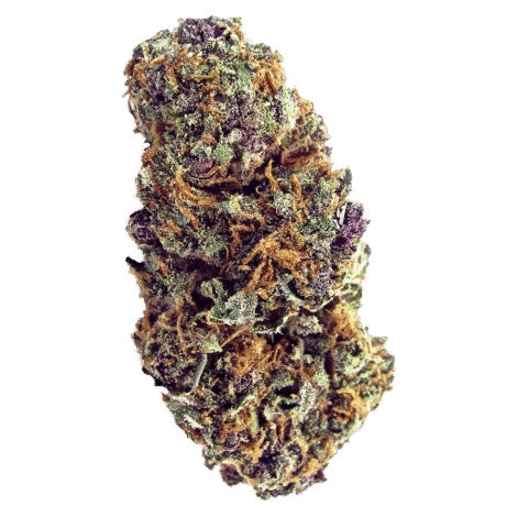 NpVfX1KVSTy0SYoZ112D_ForbiddenFruit