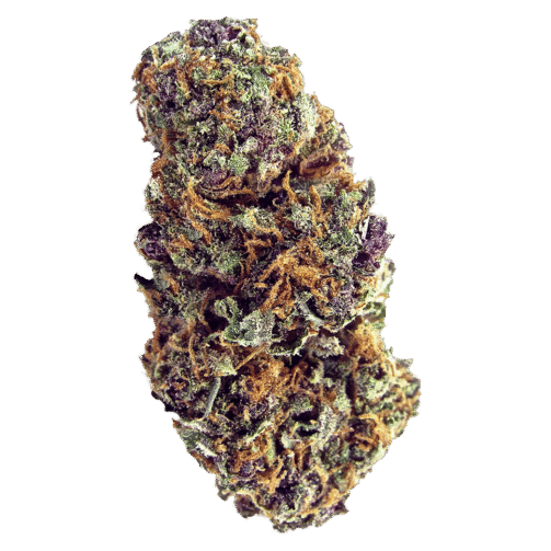 NpVfX1KVSTy0SYoZ112D_ForbiddenFruit